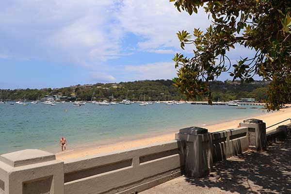 Balmoral Beach Sydney Harbour with calm water and palm trees