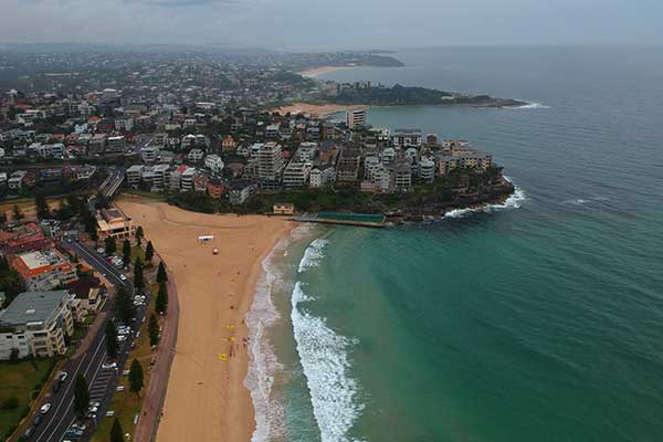 Manly Beach Sydney with Norfolk Island pine trees and ocean