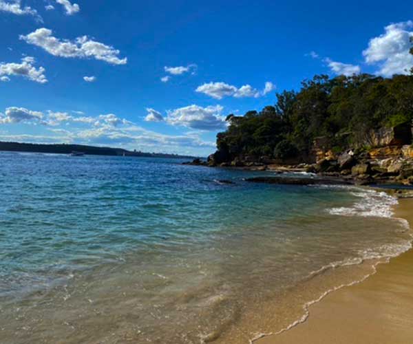 Sydney Harbour view from Nielsen Park near Shark Beach