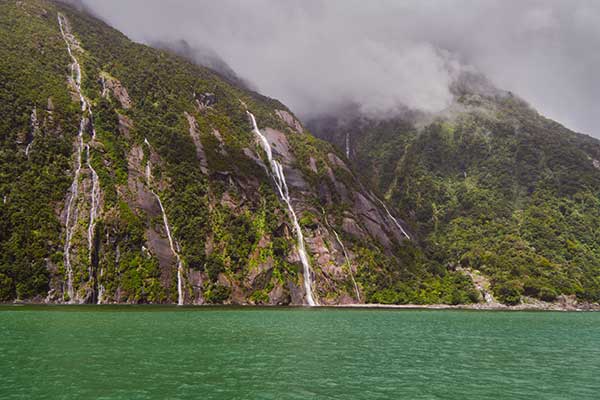 Premium dining experience aboard a Milford Sound cruise