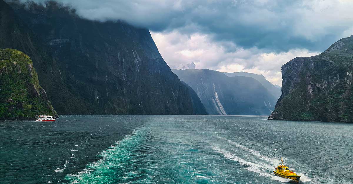 Best Cruises in Milford Sound