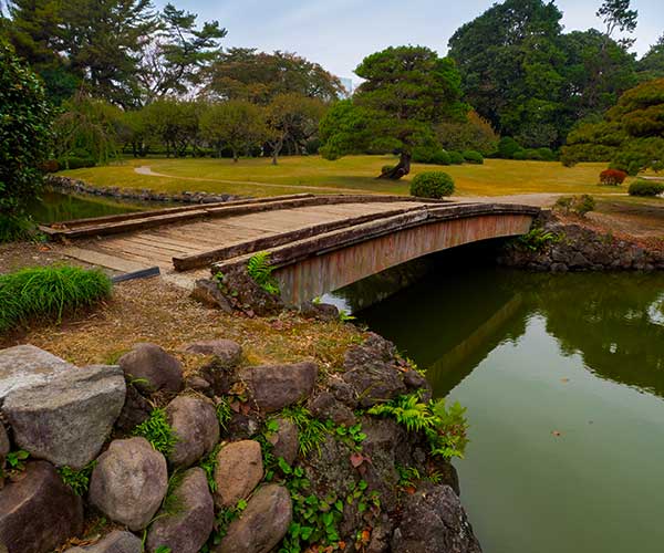 Green landscape and mature trees in Kyoto Gyoen National Garden