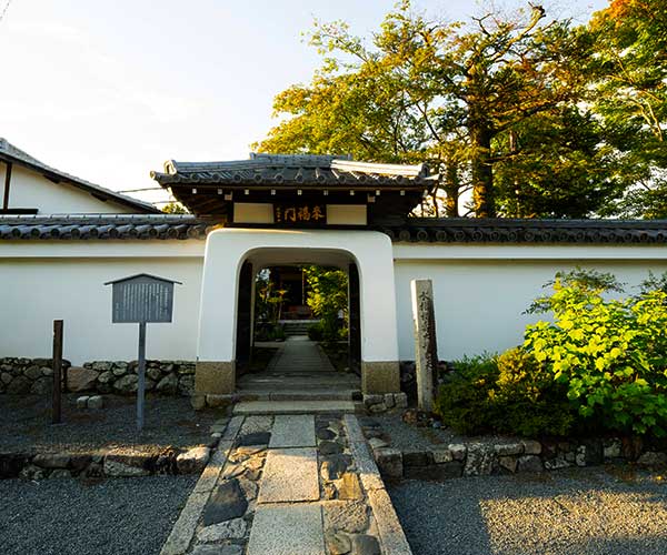 Close view of carefully arranged rocks and white gravel at Ryoan-ji Temple in Kyoto