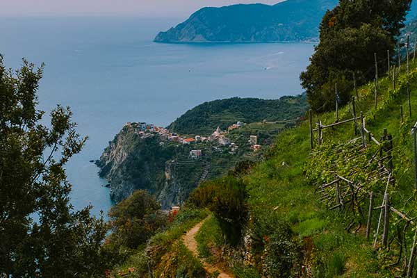 Terraced vineyards and hiking trail in Cinque Terre