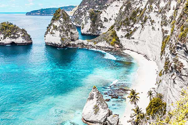 Kelingking Beach Nusa Penida from above, showing the T-Rex shaped cliff and turquoise bay below
