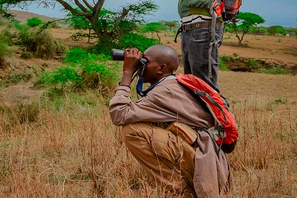 Camera with telephoto lens prepared for safari photography