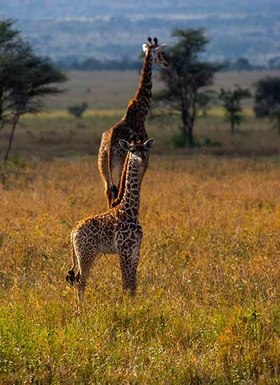 Masai Mara Packing List